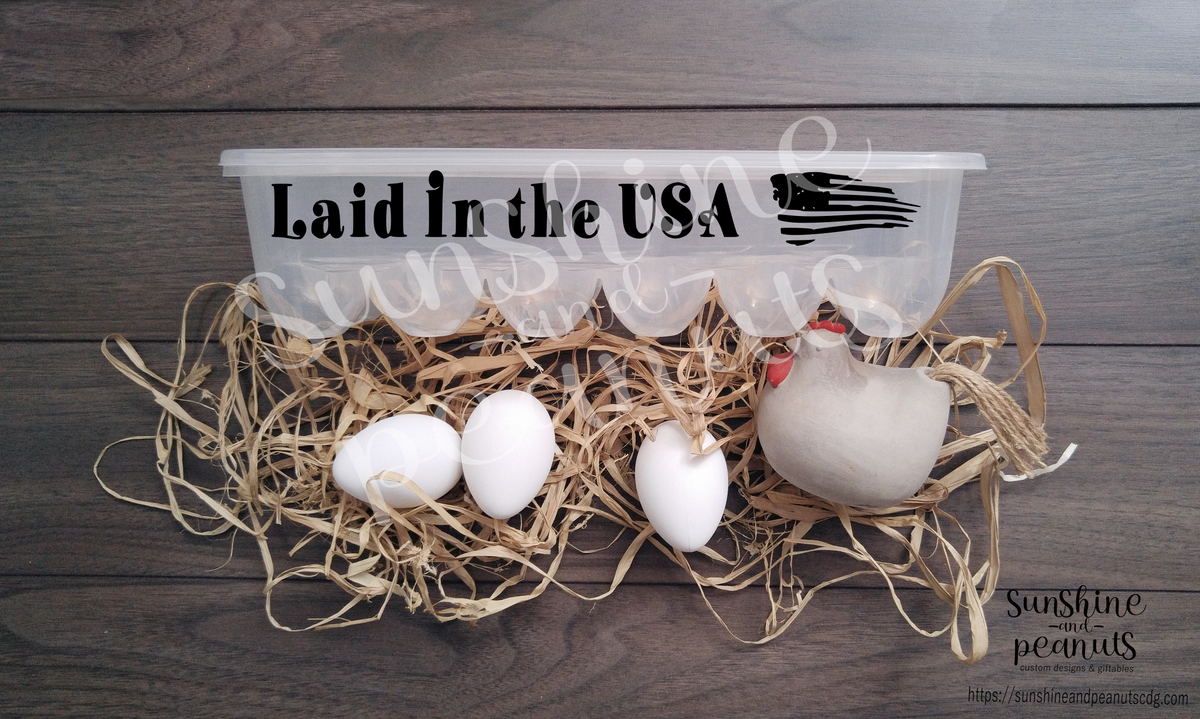 Clear Plastic egg storage container.  12.5" x 5".  Items are hand wash only.  Not dishwasher safe.  Incorrect care will damage the vinyl applique.  Item shown with watermark which will be removed form actual product.