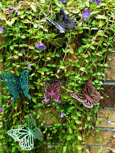 Our Butterfly Plant Stake Trio is a perfect way to add decoration and art to any house plant. Our trio set is laser cut from birch wood, hand painted with iridescent glaze. Assorted colors available.  It's perfect for any indoor plant, the stakes bring a unique and beautiful touch to any home.